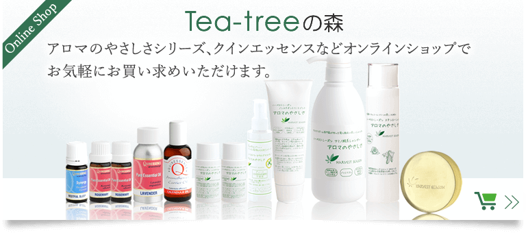 Tea-tree̐X@i̍w]̂ql͂